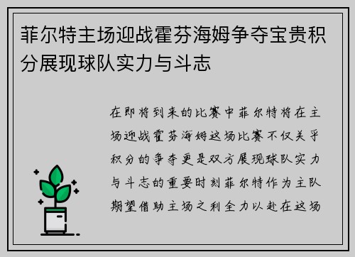 菲尔特主场迎战霍芬海姆争夺宝贵积分展现球队实力与斗志