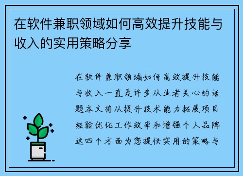 在软件兼职领域如何高效提升技能与收入的实用策略分享
