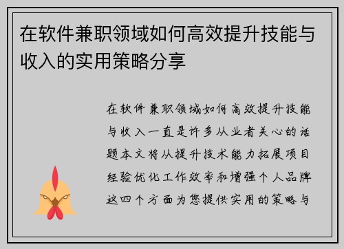 在软件兼职领域如何高效提升技能与收入的实用策略分享