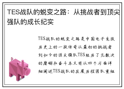 TES战队的蜕变之路：从挑战者到顶尖强队的成长纪实
